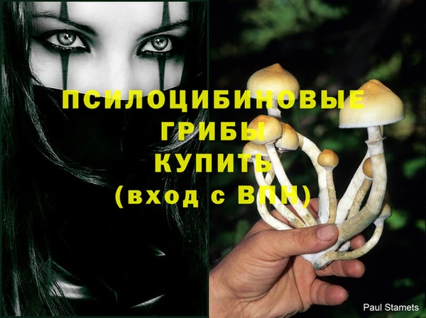 дмт Переславль-Залесский