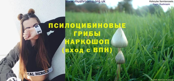 дмт Переславль-Залесский