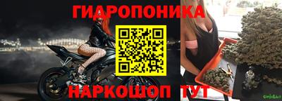 индика Беслан