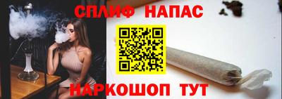 индика Беслан