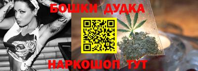 индика Беслан