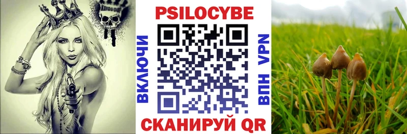 Галлюциногенные грибы прущие грибы  Великие Луки 