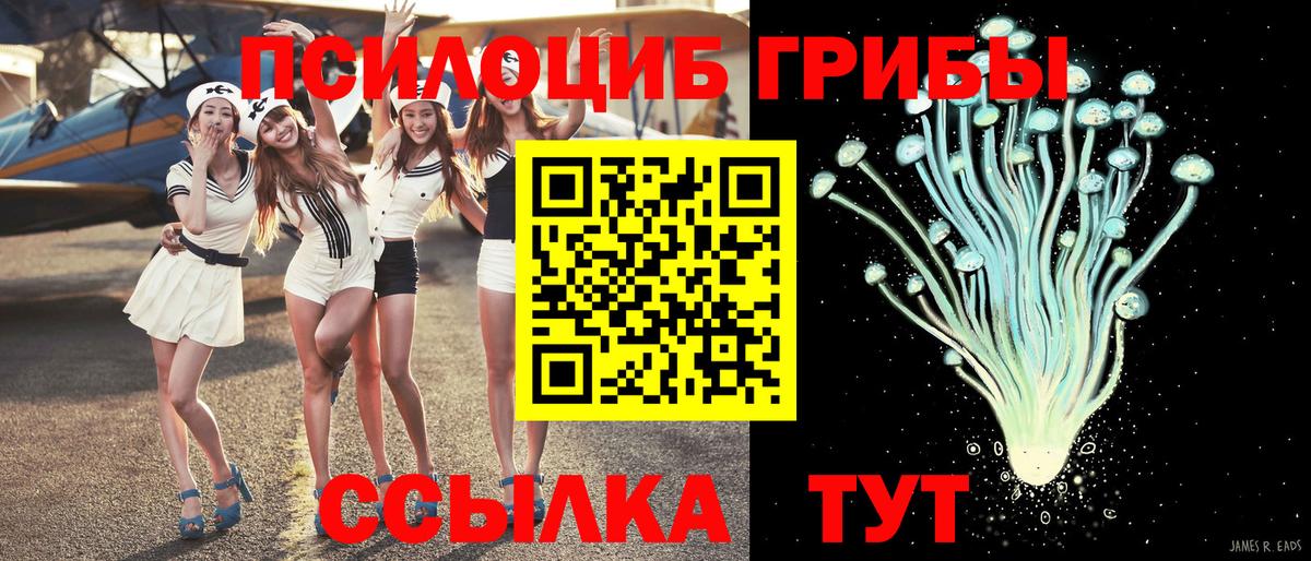 Галлюциногенные грибы Psilocybine cubensis  Великие Луки 