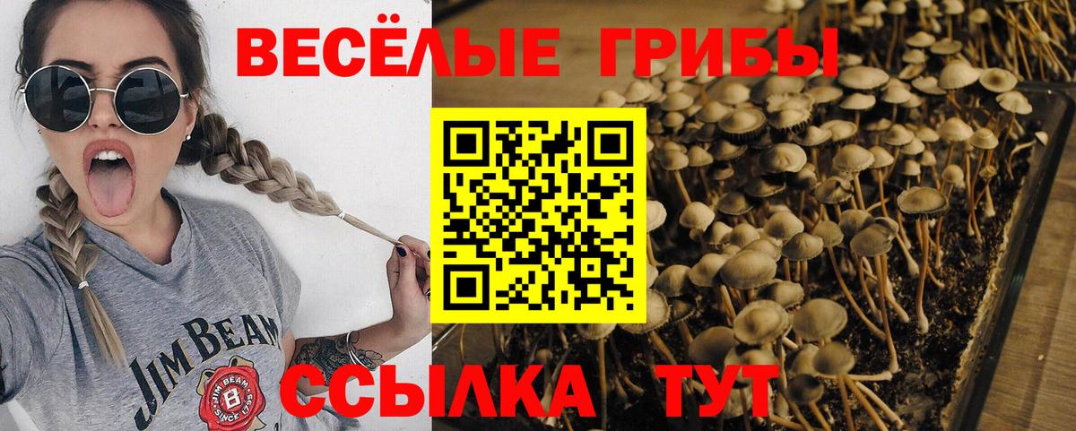Великие Луки  КОКАИН  Альфа ПВП  Кетыч  МДМА  Марки  Каннабис  Гарик  Марихуана  Вход с VPN  Гашик  Мефедрон 