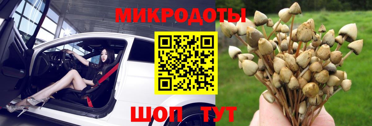 Великие Луки  Галлюциногенные грибы прущие грибы  Вход с VPN 